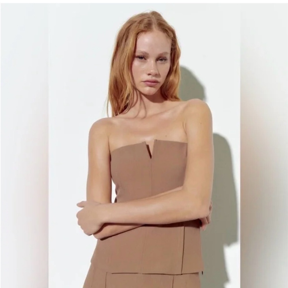 Zara Strapless Crop Top in Brown